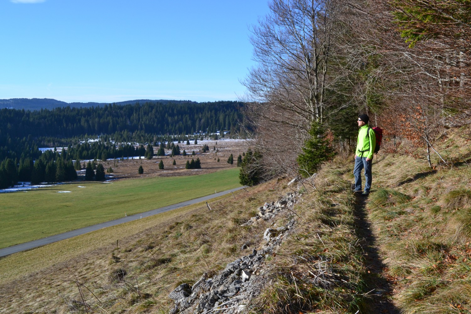 Vue sur la tourbière «Mouille de la Vraconnaz». Photo: Sabine Joss