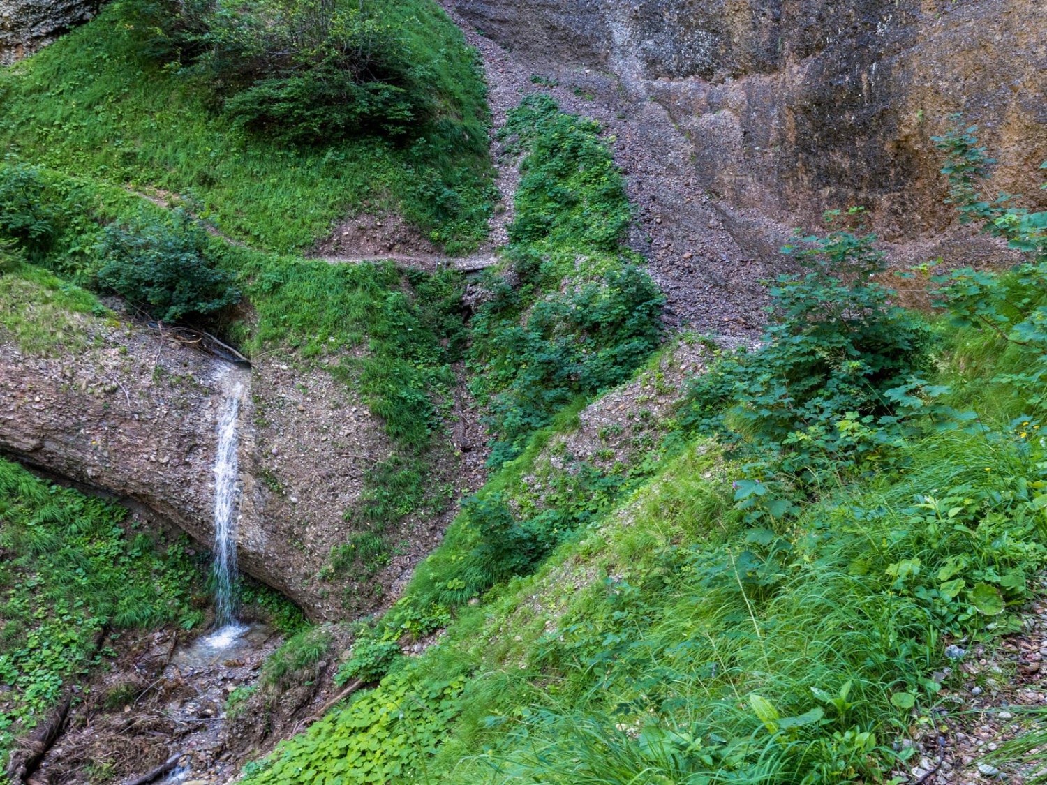 Im Quellgebiet des Necker. Bild: Daniel Fleuti
