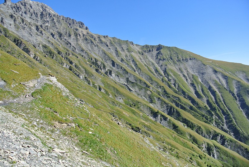 Kaum sichtbar führt der Gsür-Weg quer zum Berg. Bilder: Rémy Kappeler