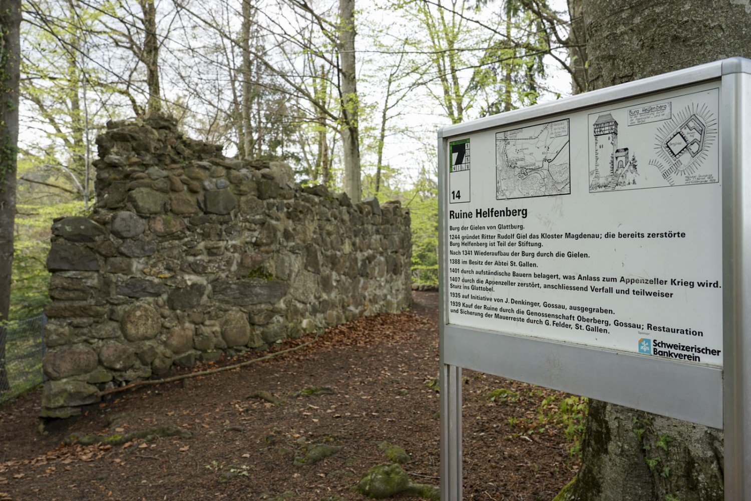 Ruines du bourg médiéval de Helfenberg. Photo: Reto Wissmann