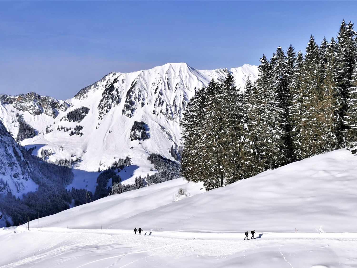 Entre Ristis et Spisboden. Photo: Andreas Staeger.