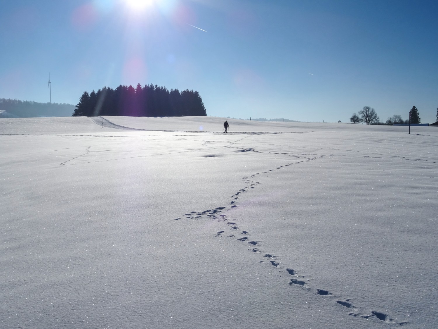 In der Ferne drehen sich Windturbinen. Bild: Sabine Joss