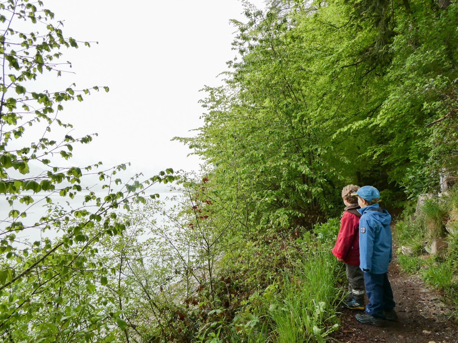 Auch im Regen schön: Das Grün der Natur wirkt dann besonders intensiv. Bild: Rémy Kappeler