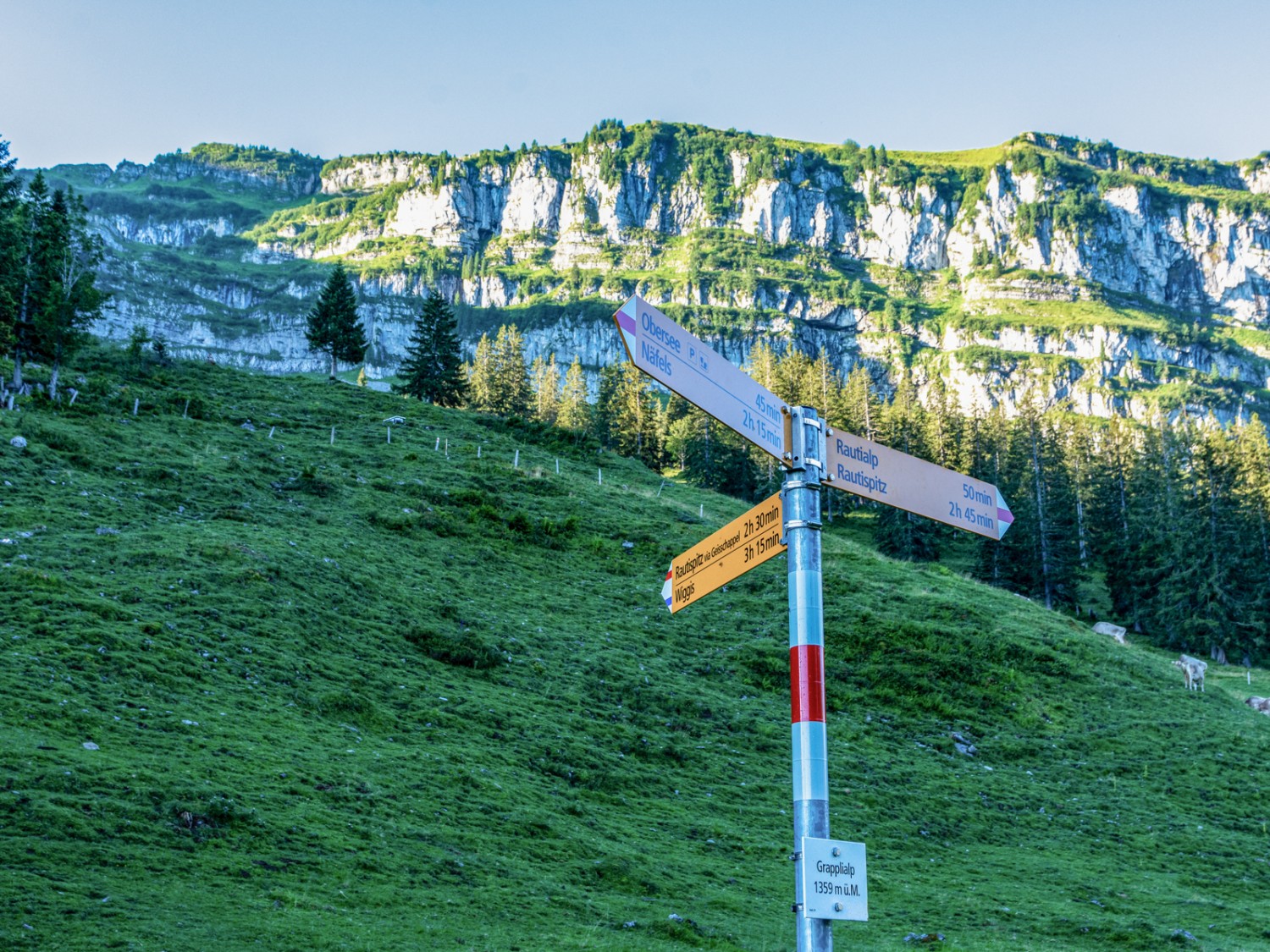 Bei der Grapplialp zweigt der Pfad links ab und führt zur Geisschappel. Bild: Franz Ulrich