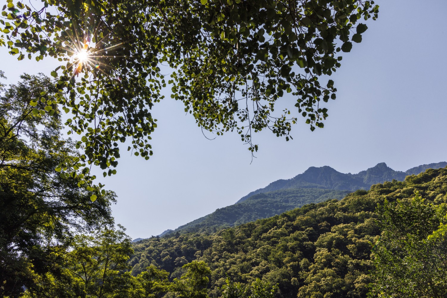 Collines et verdure: la randonnée variée passe par des lieux ombragés et offre de belles vues. Photo: Severin Nowacki