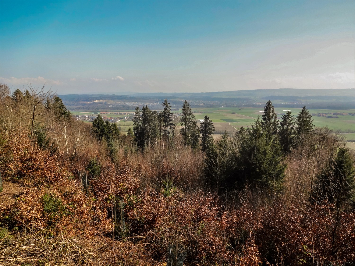 Vue sur la plaine qui s’étend au sud du Jäissberg. Photo: Miroslaw Halaba