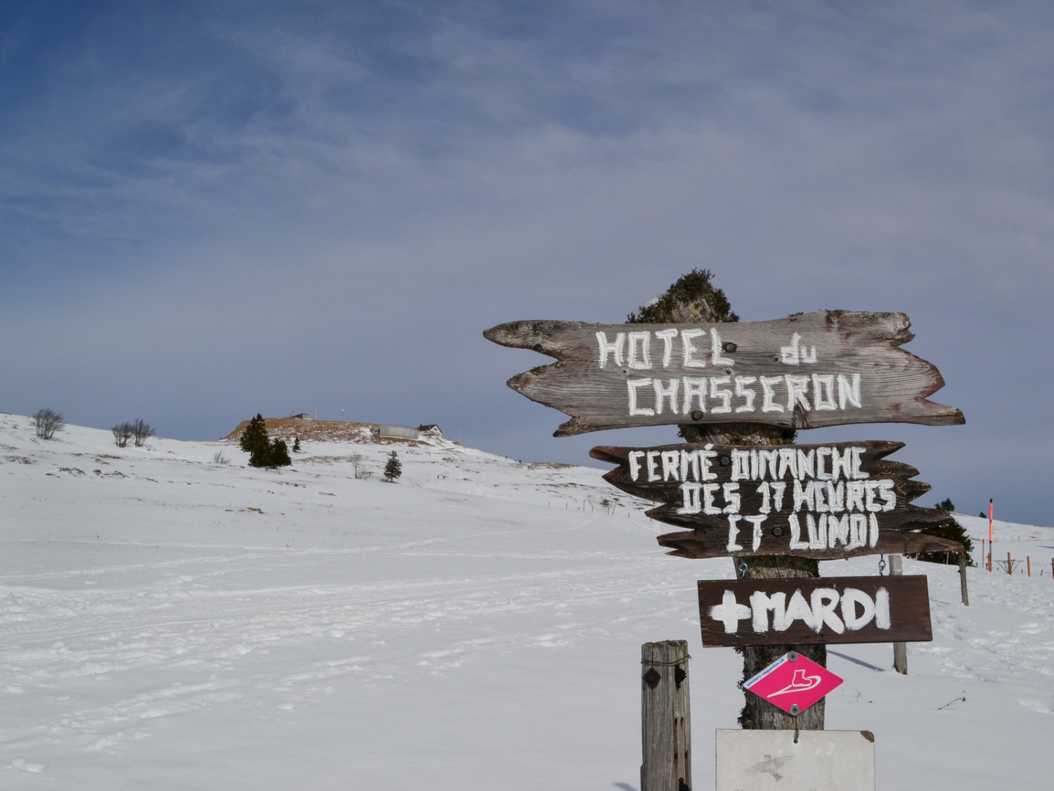 Dans les prairies du Chasseron.