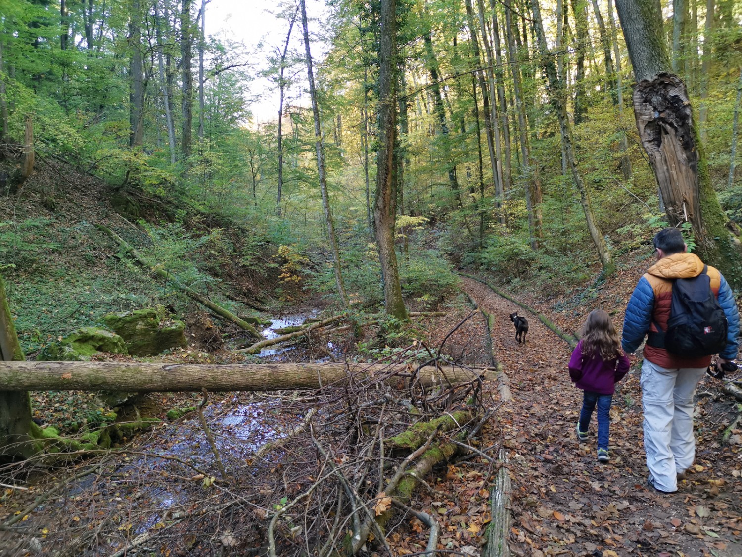 Durchs Mühletäli ist der Wildpark bald erreicht. Bild: Evelyne Zaugg