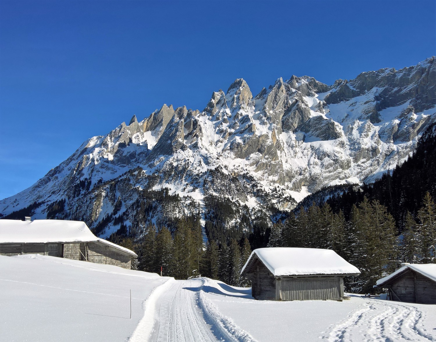 Der Winterwanderweg verläuft zunächst breit und wird dann immer enger. Bild: Andreas Staeger