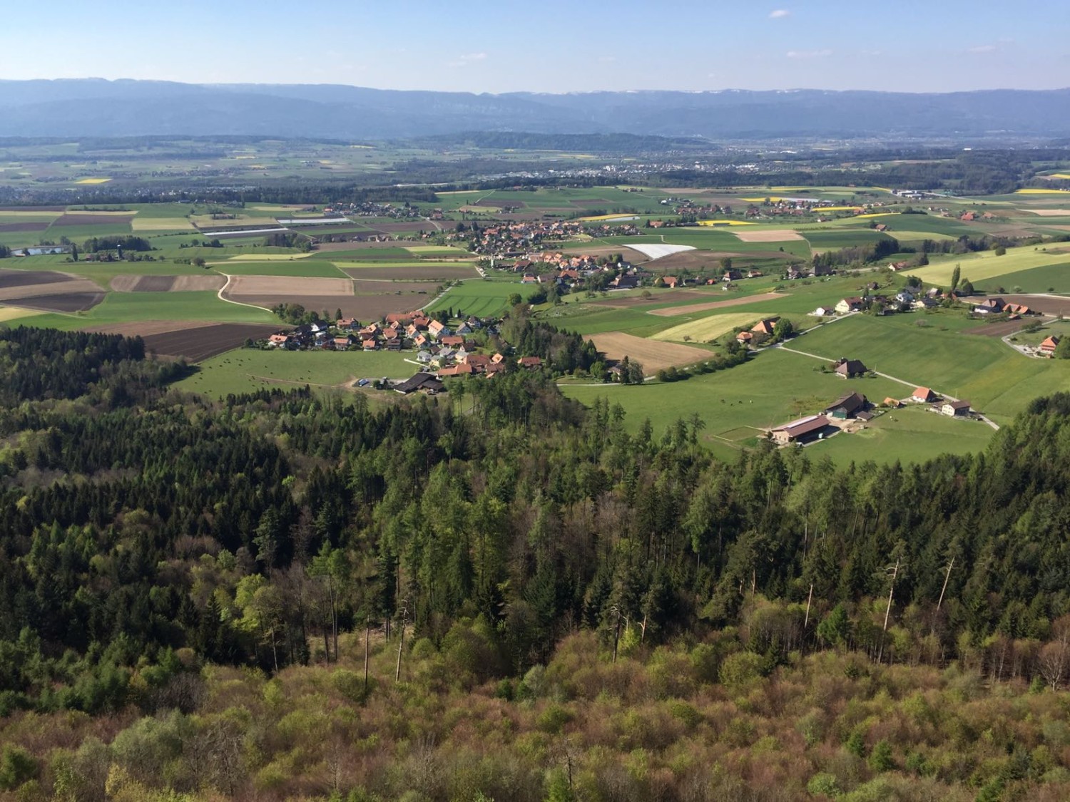 Vue panoramique du Seeland et du Jura. Photo: Peter Blatter