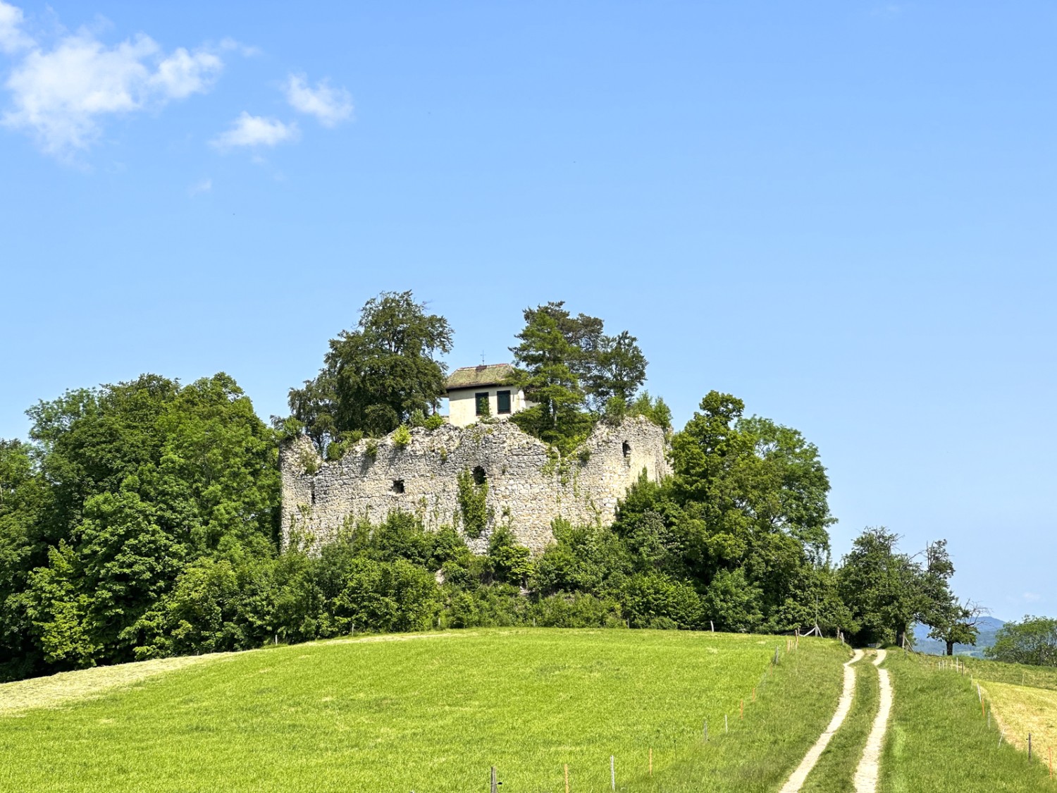 Les ruines de «Neu Schauenburg».