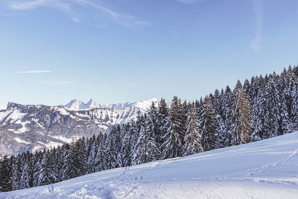 Aussergewöhnlicher Panoramablick auf das Greyerzerland und die Freiburger Voralpen. Foto: Lauriane Clément