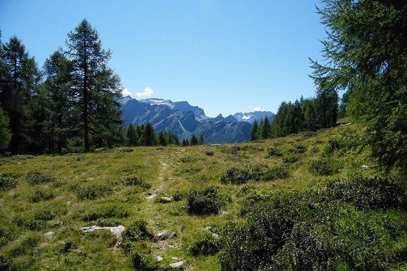 Sur le magnifique chemin vers le Prato, la vue est étendue.  
Photo: Maria Zachariadis