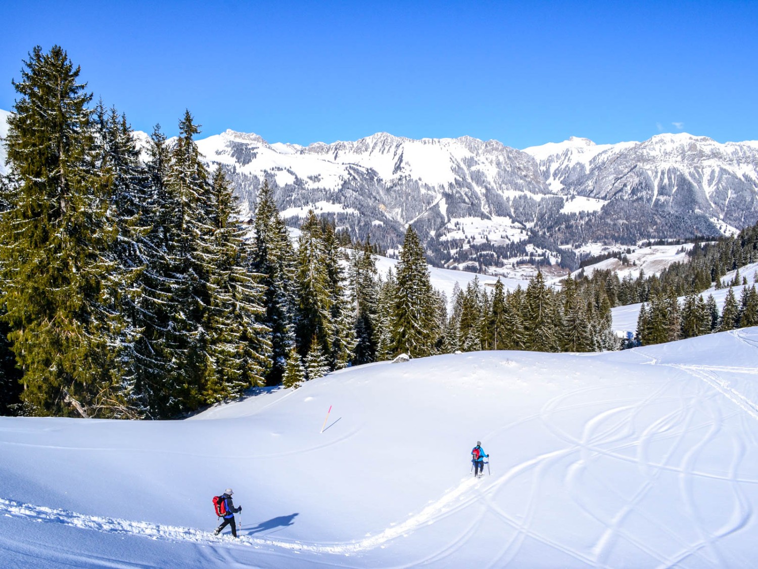 Abstieg durch den Pulverschnee Richtung Schönenbode. Bild: Sabine Joss