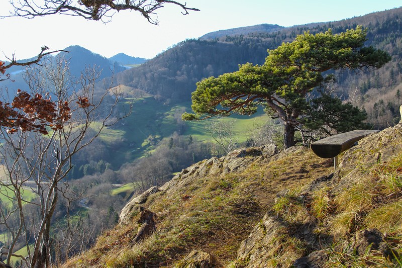 Blick gegen die Geissflue. Bild: Andreas Sommer