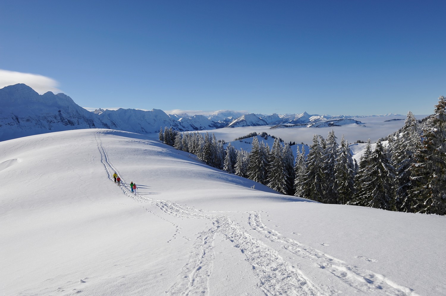 Im Aufstieg vom Langälpli zum Kronberg, dahinter die Säntiskette. Bild: appenzell.ch