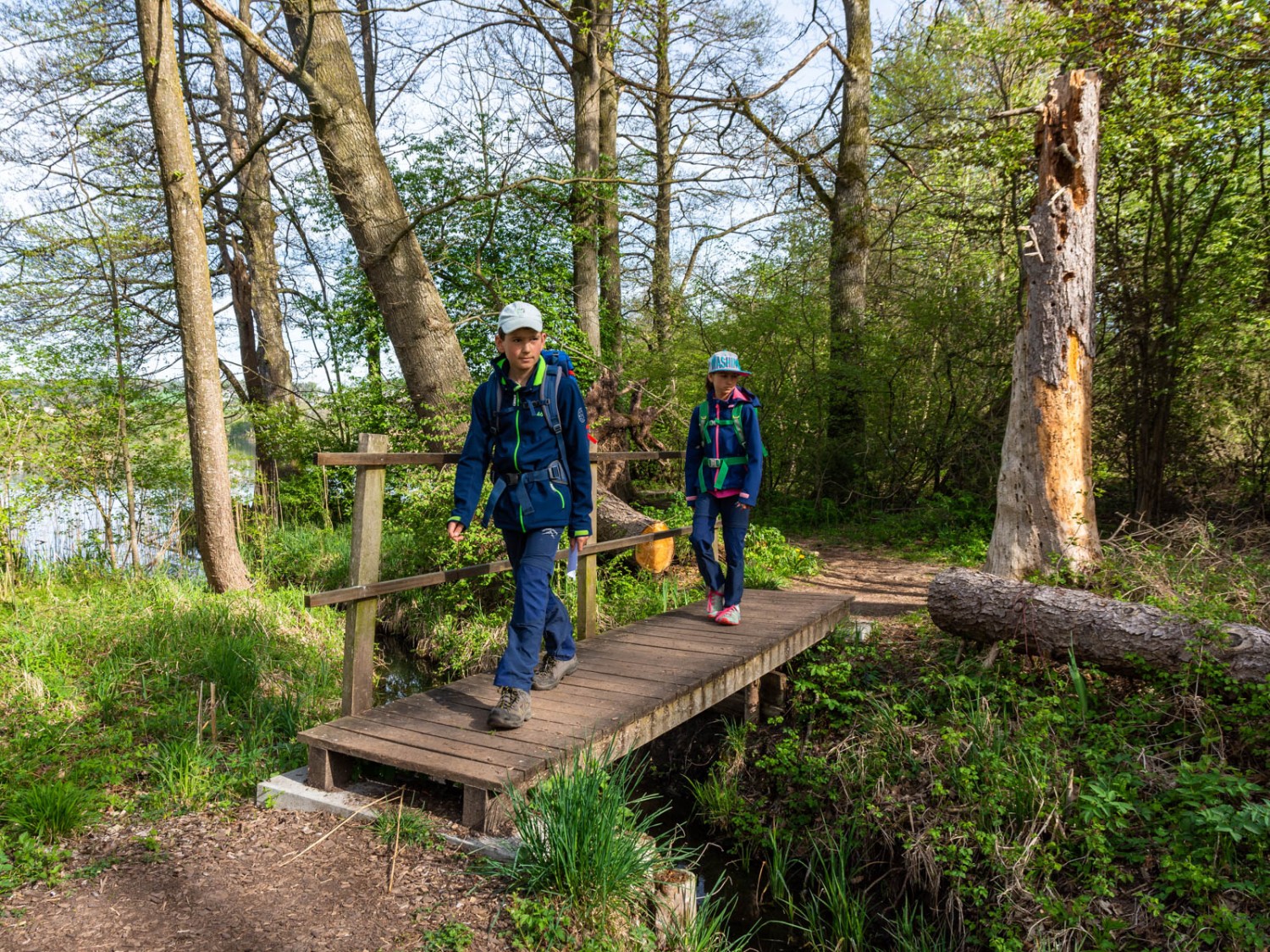 Abwechslungsreicher Weg um den Mauesee. Foto: Franz Ulrich