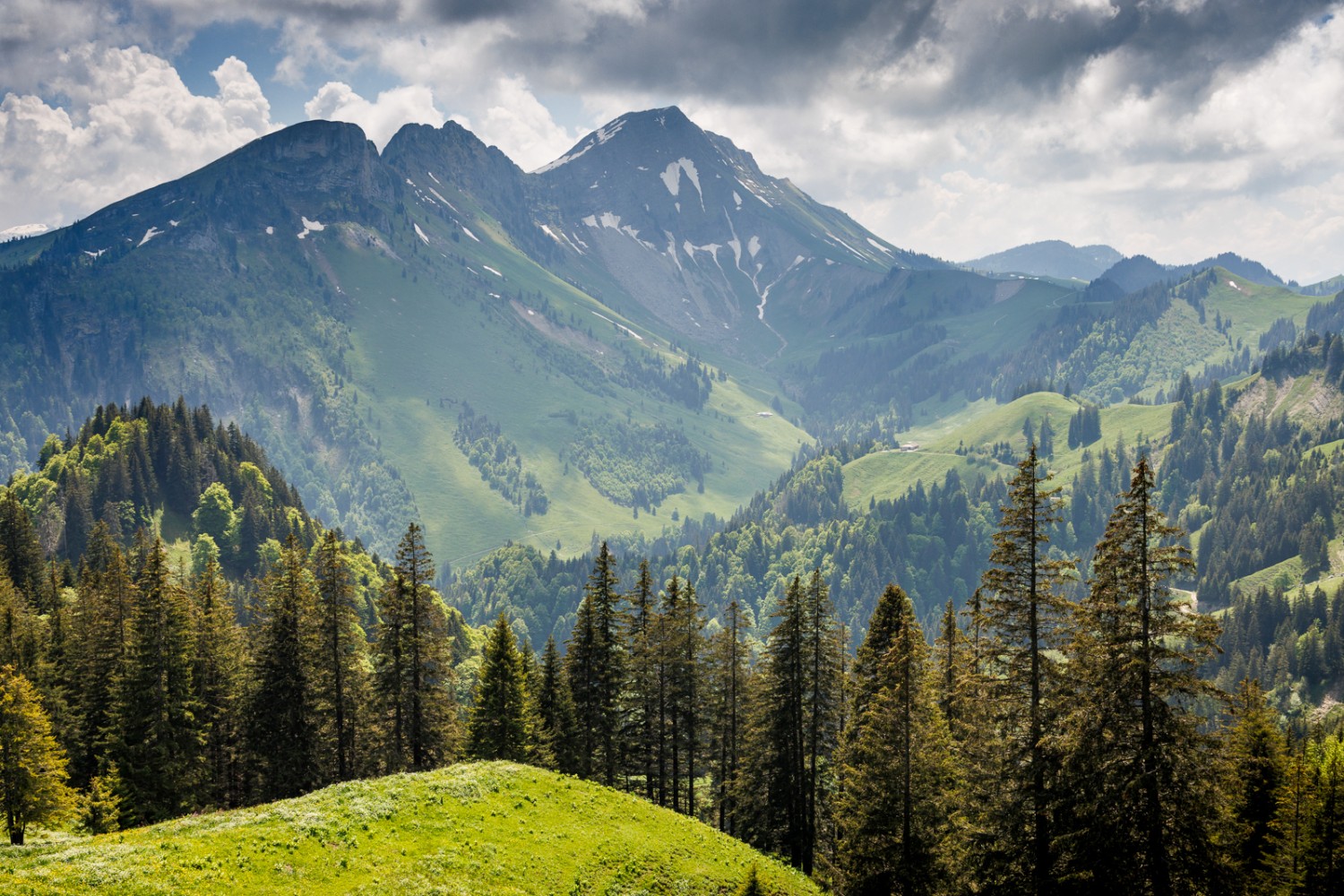 Il fait bon s’arrêter au Gros-Moléson afin de s’imprégner de la verdure environnante. Photo: Severin Nowacki