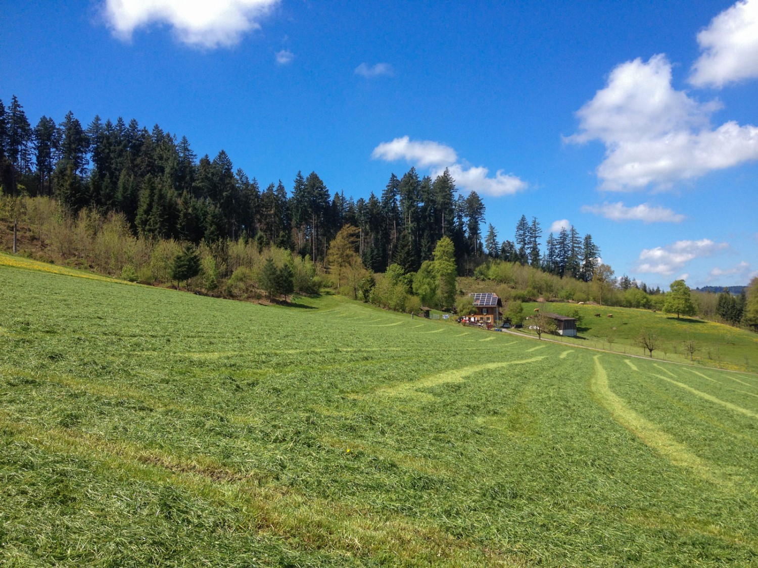 Le randonneur parvient rapidement dans la campagne, au milieu des exploitations agricoles. Photo: Claudia Peter