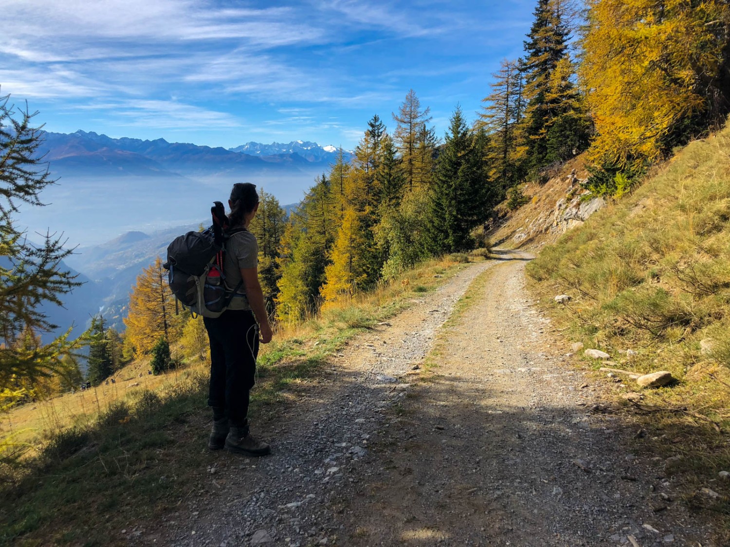 Le chemin de randonnée de montagne commence très tranquillement. Photo: Vera In-Albon