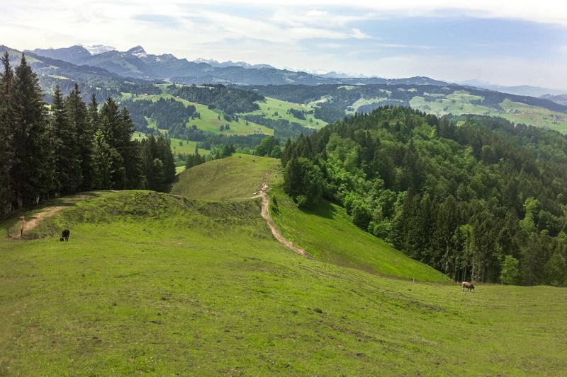 Steile Waldstücke wechseln sich mit Wiesenabschnitten ab. Fotos: Maria Zachariadis