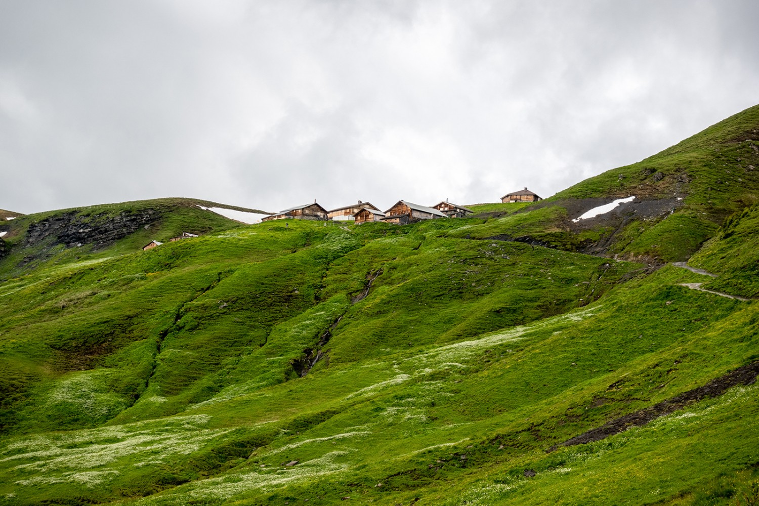 L’Alp Grindelfeld.