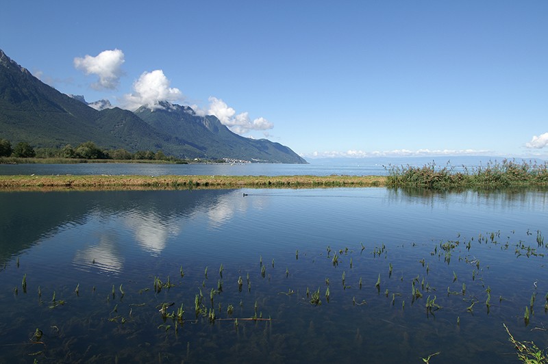 Hier verbindet sich der Grand Canal mit dem Genfersee.