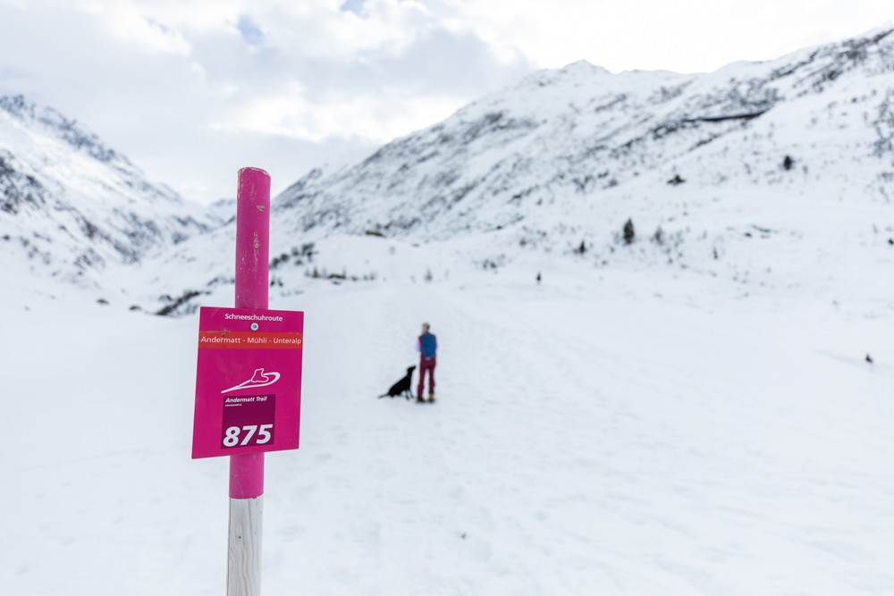 Der Schneeschuhtrail ist gut und klar markiert. Bild: Wanderblondies