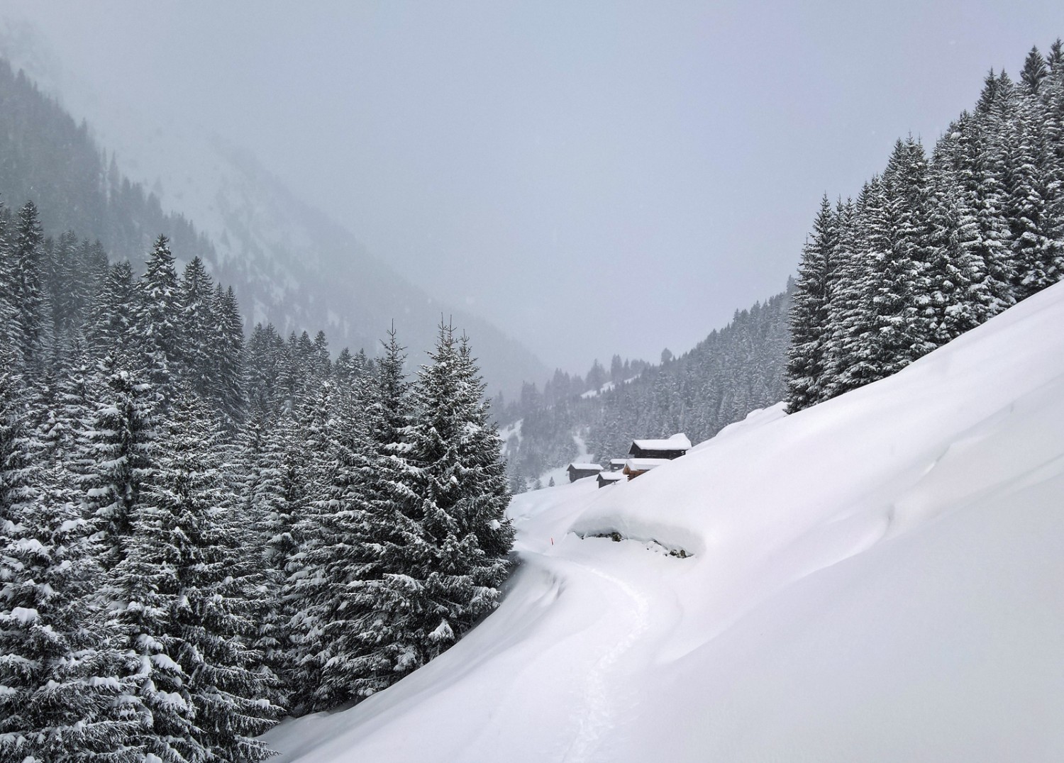 Im Tal des Bachs Flem, unterhalb der Alp da Stiarls. Bild: Andreas Staeger