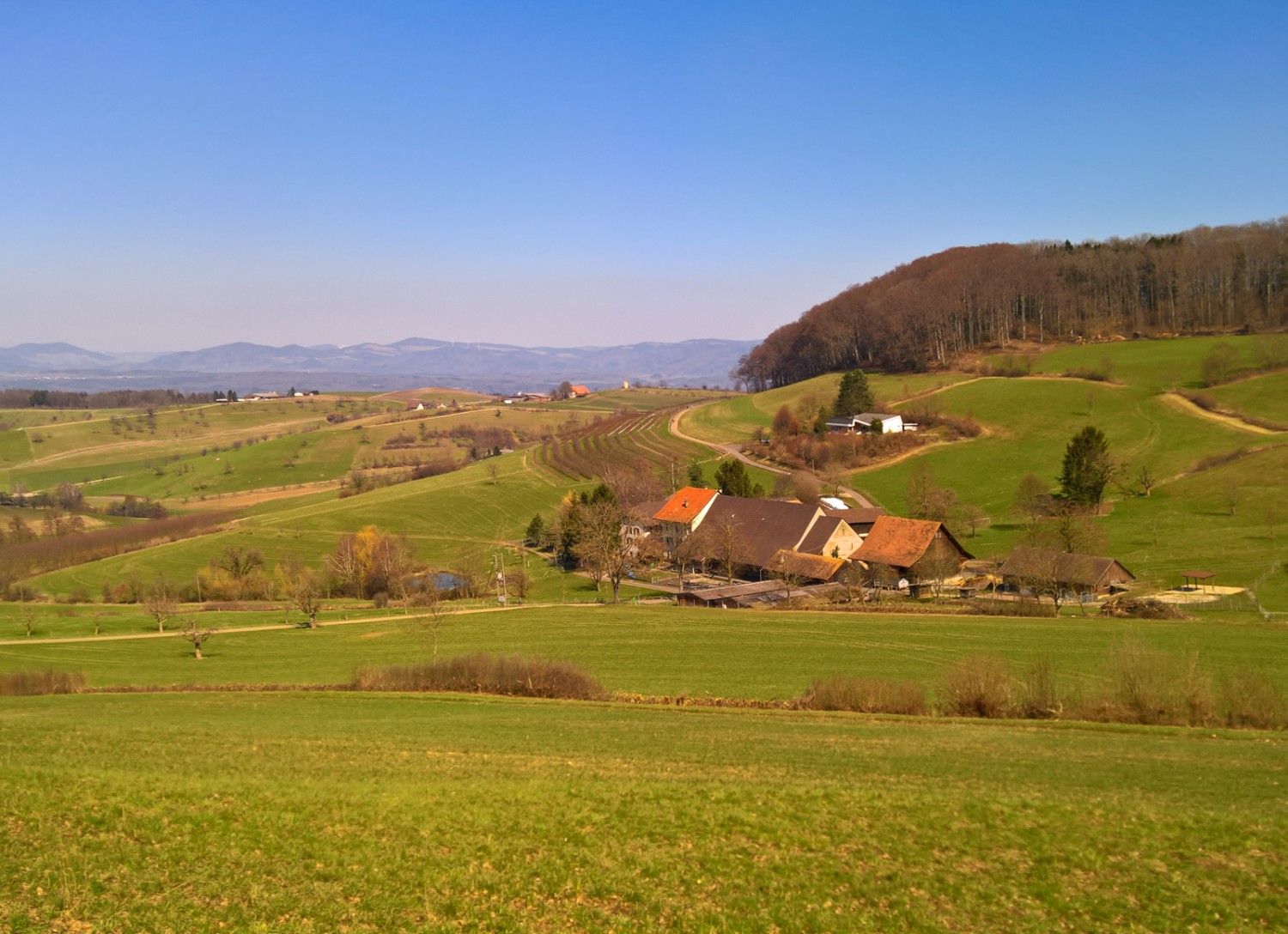 Pays doux et vallonné. Photo: Andreas Staeger