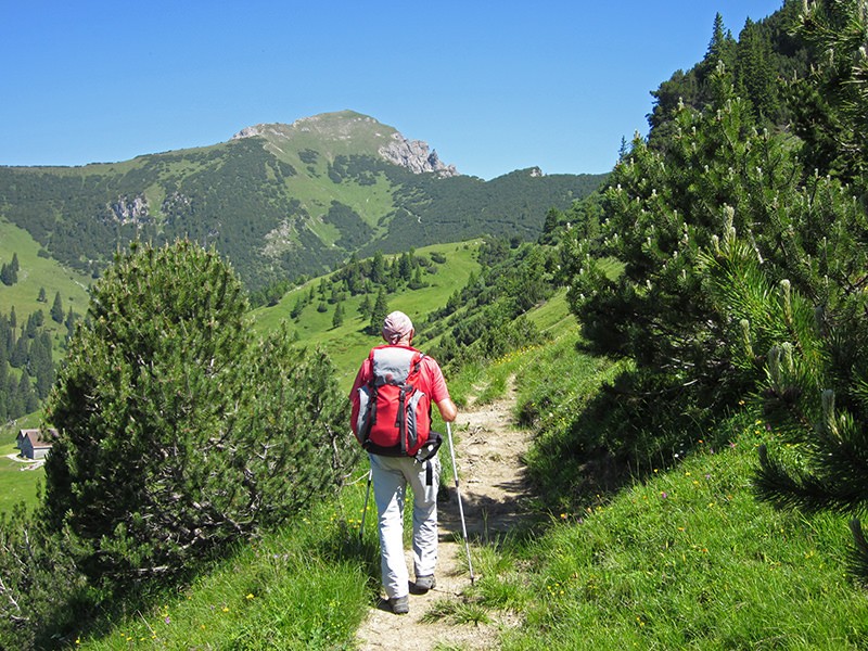 Le chemin passe d’abord près de pins assez bas. Au voit déjà au loin le Galinakopf. Photos: Maria Zachariadis