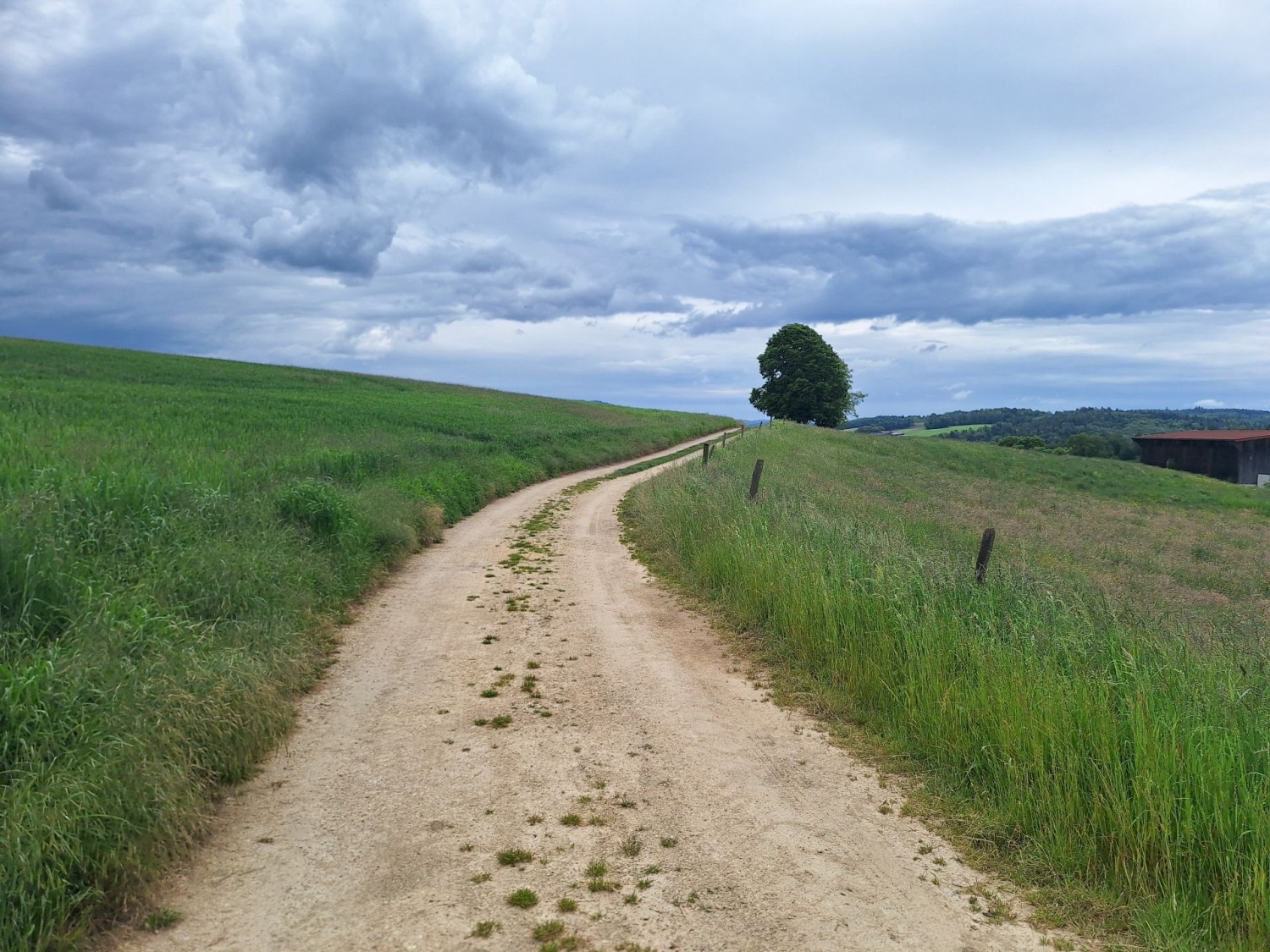 Kurz vor Porrentruy schlängelt sich der Weg durch grüne Felder.