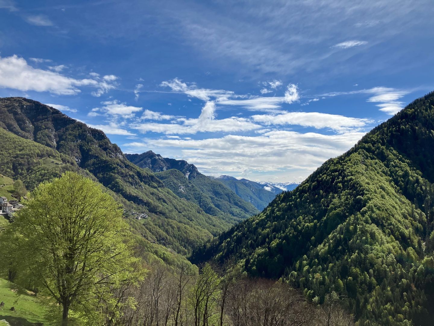 Calme méditatif: la nature sauvage de la Valle Onsernone.