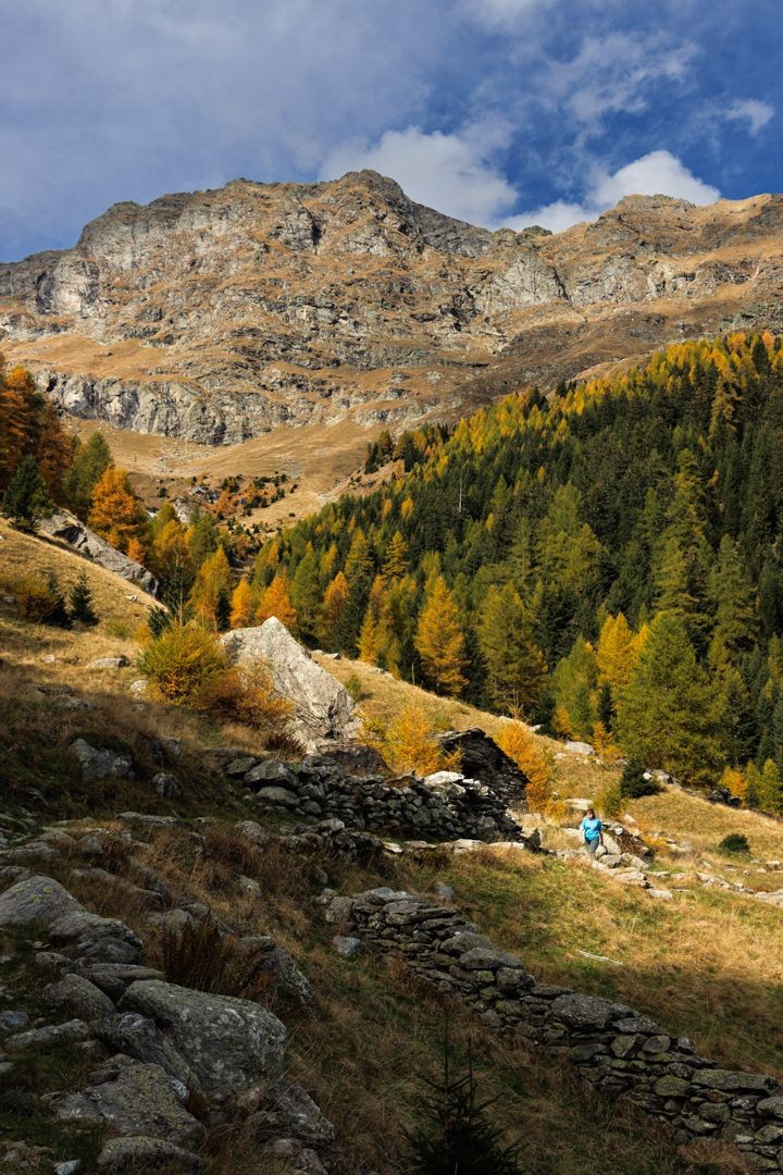 Agréable montée le long de murs de pierres sèches près de Soste, en direction de la Valle del Cardinello.