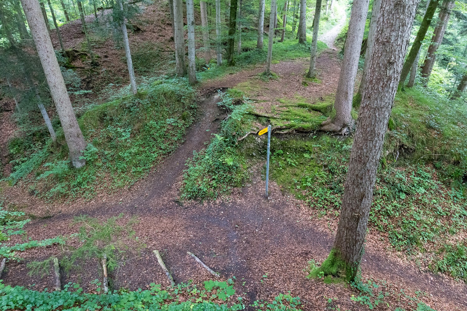 Gut versteckt im Wald findet man die Ruine Rüdberg.