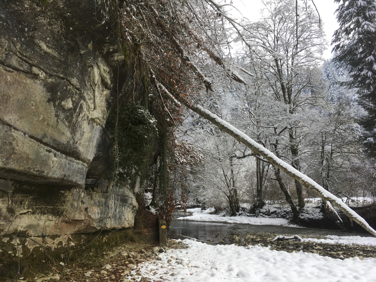 Parois de grès et forêt sauvage dans les gorges de la Schwarzwasser. Photo: Jürg Steiner