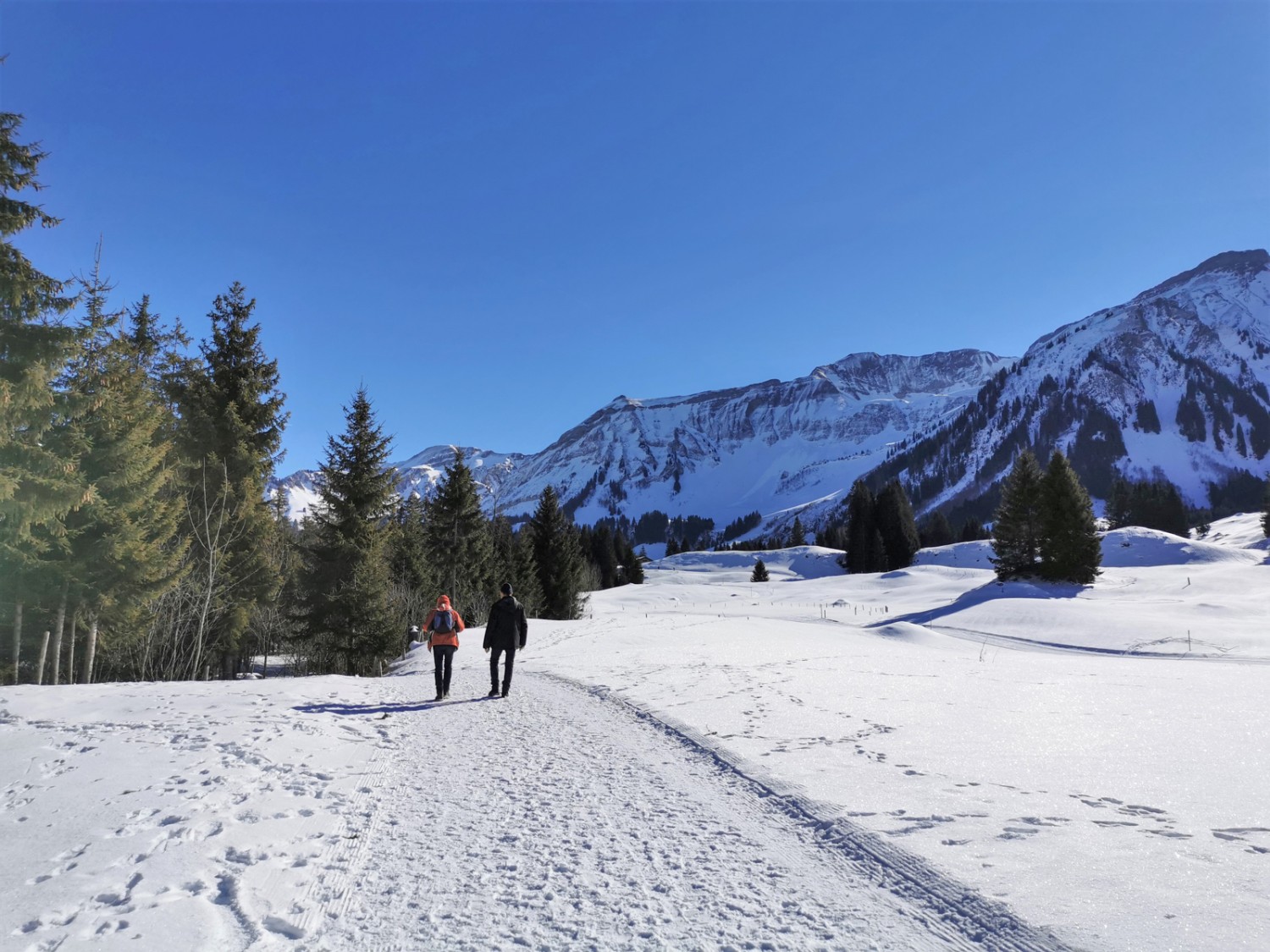 Flüehüttenboden. Bild: Andreas Staeger