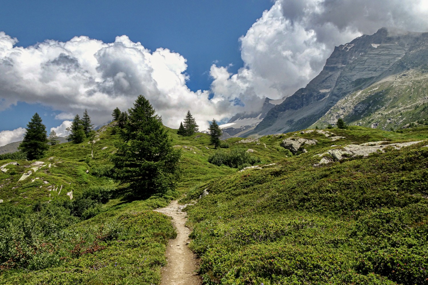 Dernière (petite) montée avant l’arrivée. Photo: Pascal Bourquin