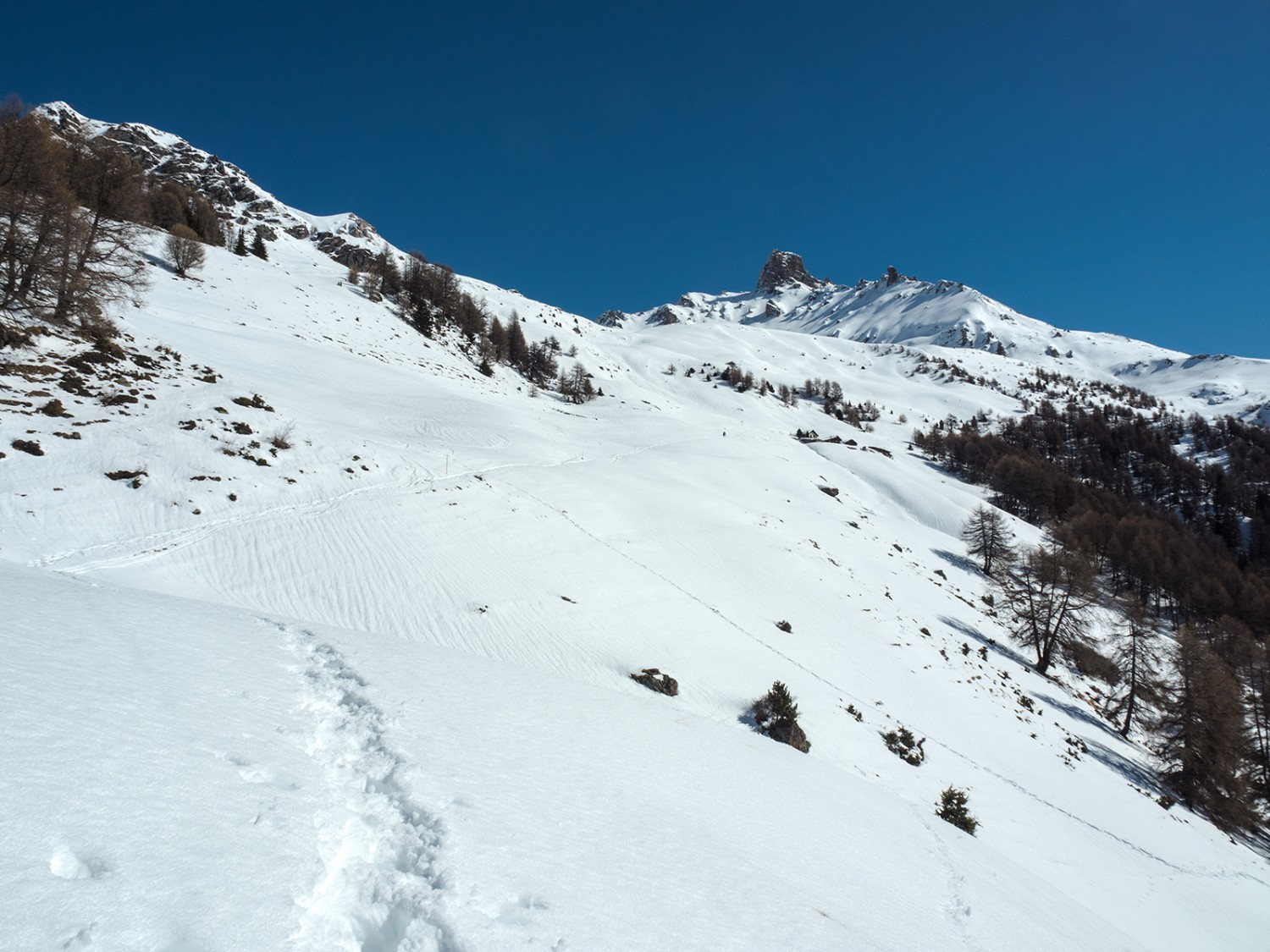 Attention aux faibles élévations, il pourrait s’agir d’abris de lagopèdes dissimulés sous la neige. Tracé en contrebas du sommet de La Maya. Photo: Barbara Graber