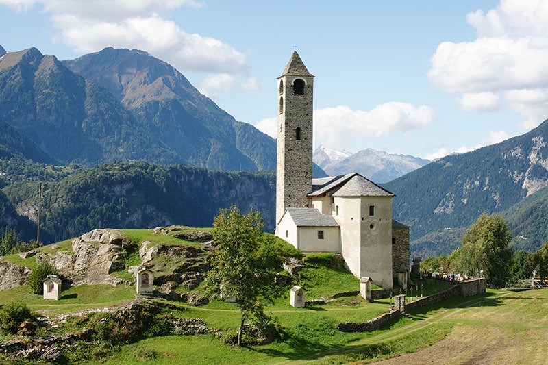 Im Frühsommer ist die Waldbrandfläche ob Leuk ein wahrer Alpengarten.