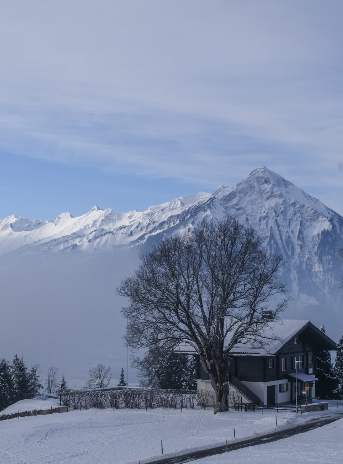 Blick auf die Niesenkette. Bild: Elsbeth Flüeler