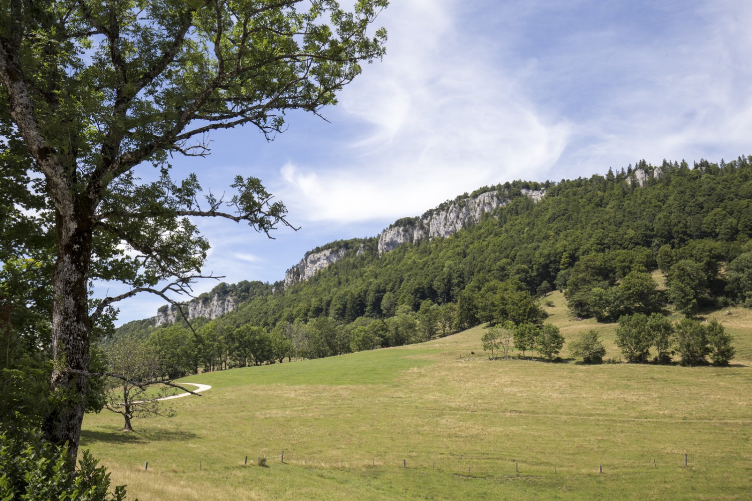 Ein Blick zurück auf die Chambenflüe vom sanften Hofbergli aus. Bild: Daniel Fleuti 