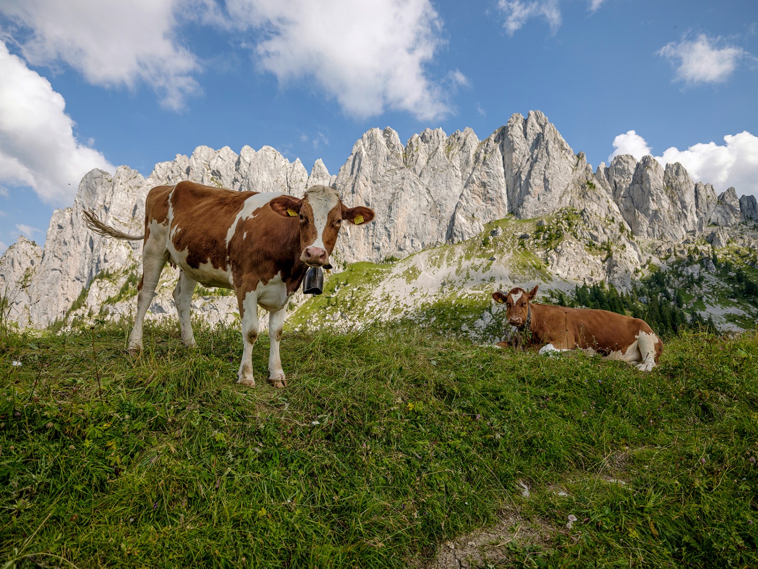 Die markanten Spitzen der Gastlosen.Foto: Pascal Gertschen, Fribourg Région