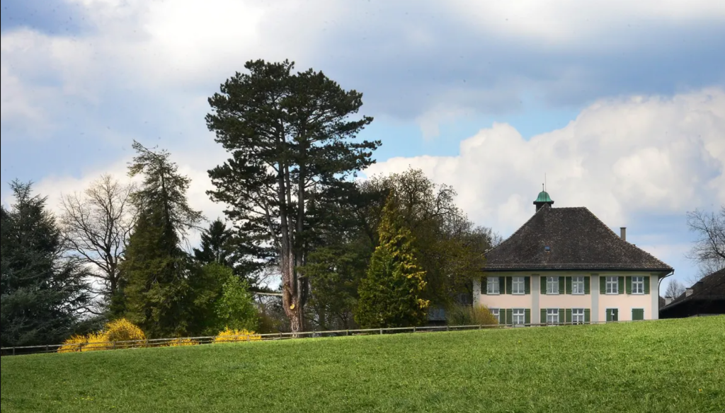 Gutshof Heimenstein