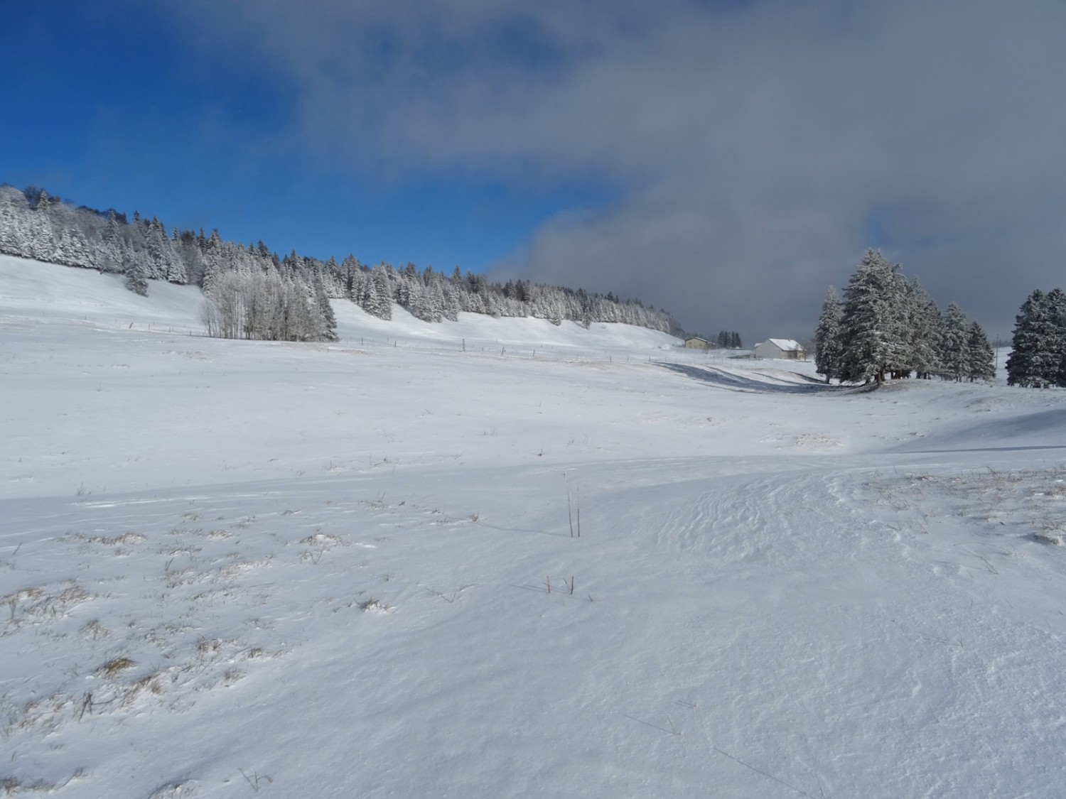 Le haut plateau de la Montagne de Granges est fréquemment en proie à des vents violents. Photo: Sabine Joss