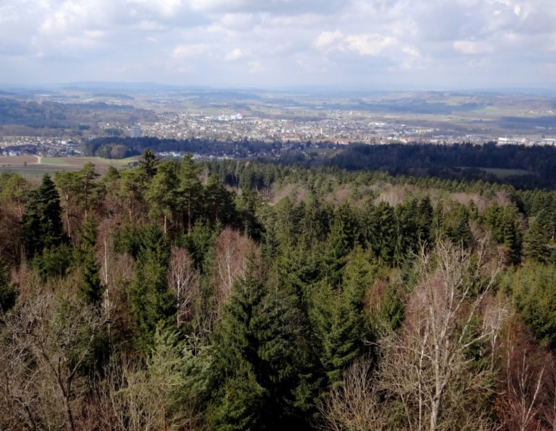 Der Turm bietet eine schöne Sicht auf Frauenfeld.