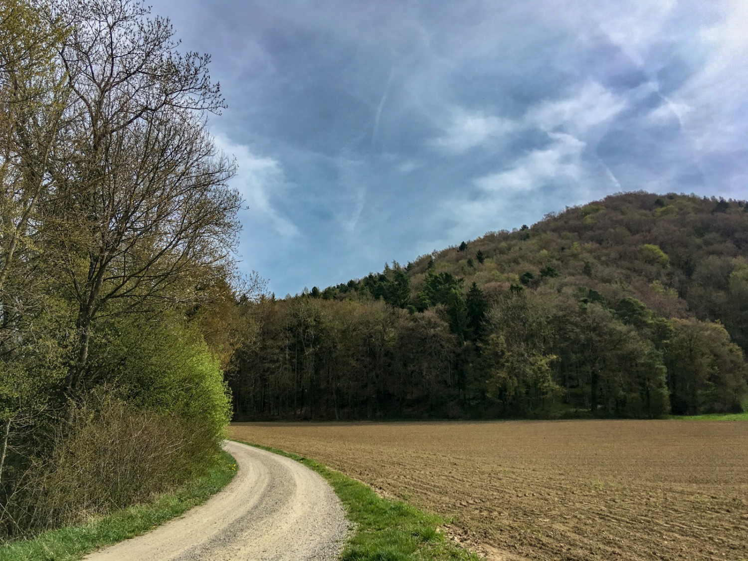 Das Zwischenziel Wolkenstein ist von Hemishofen aus gut erkennbar. Bild: Claudia Peter