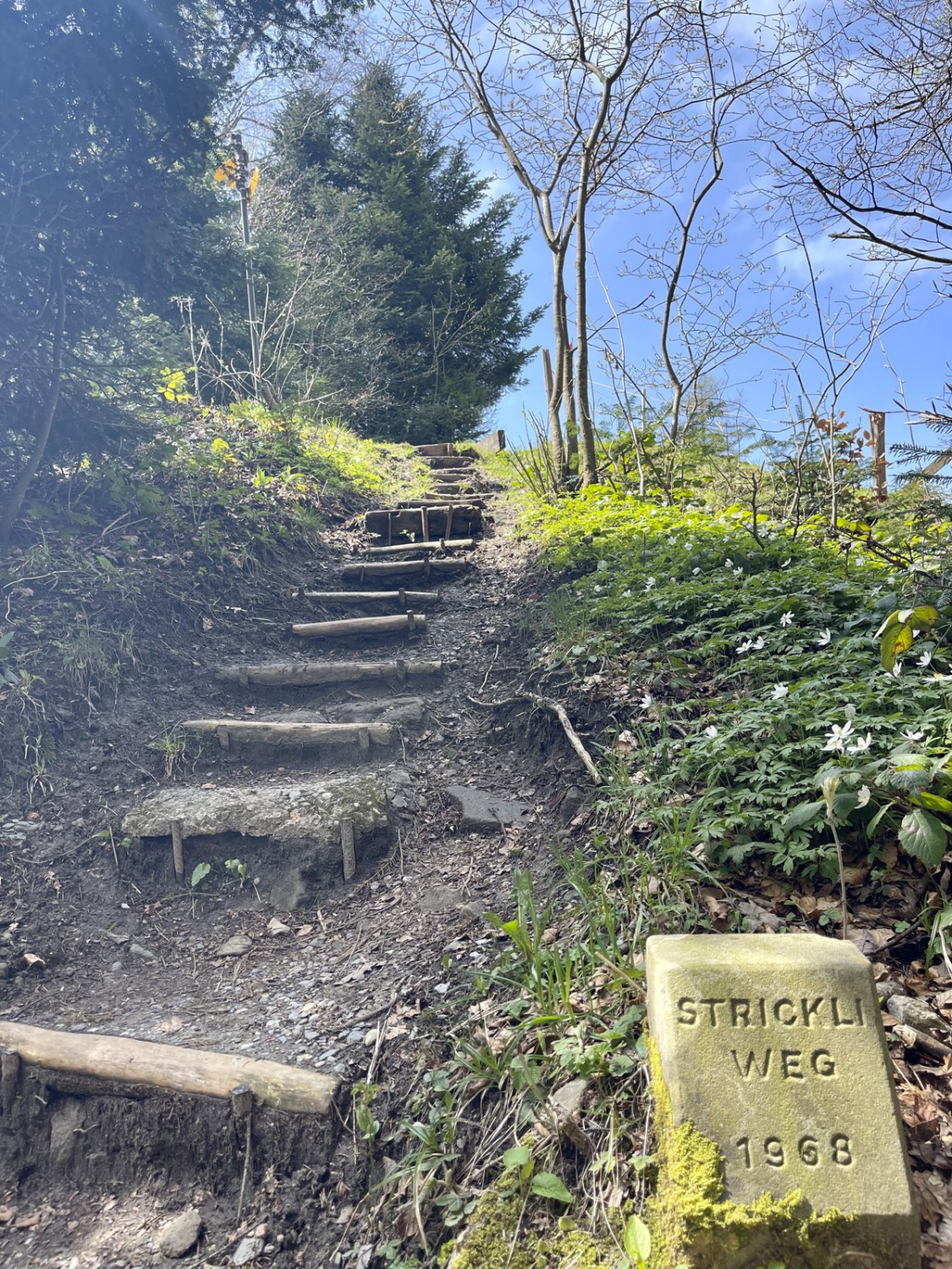 Les dernières marches avant que l’Etzel Kulm n’apparaisse soudain.