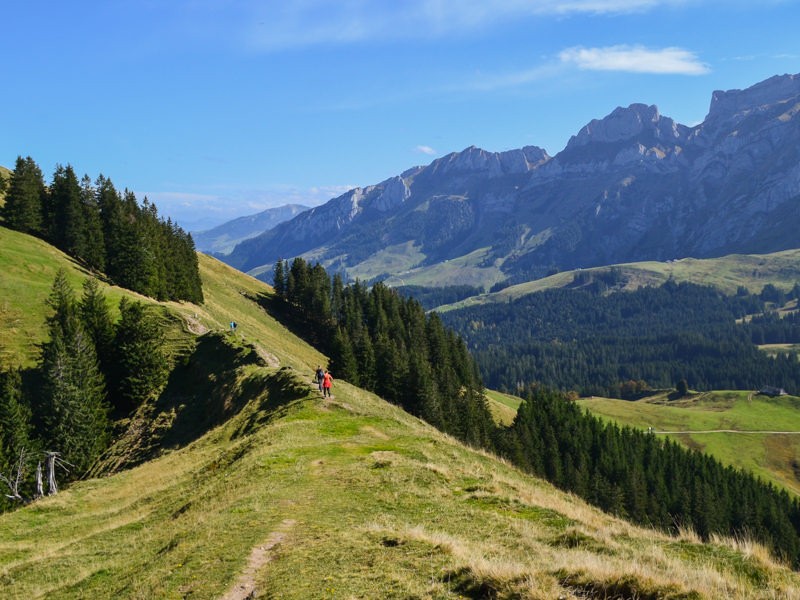 Im attraktiven Wandergebiet um die Schwägalp ist man selten alleine unterwegs. Bilder: Sabine Joss