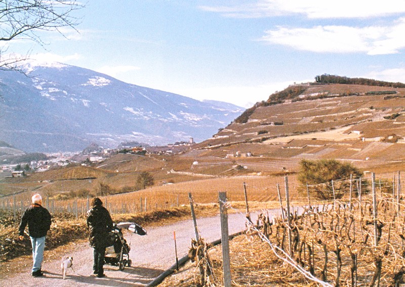 Weites Land unter der Märzsonne: die Rebberglandschaft im Osten von Siders